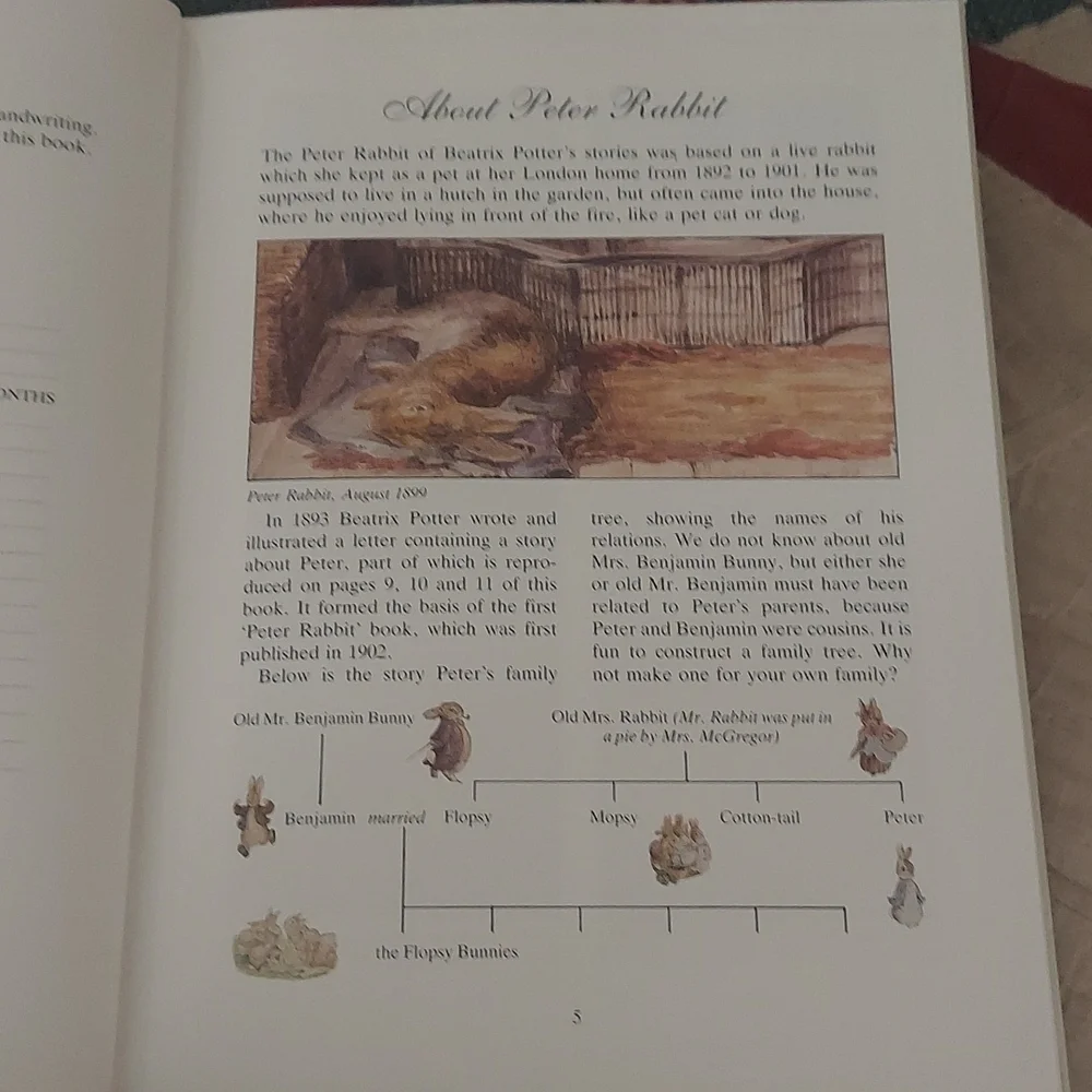 The Big Peter Rabbit Book - Picture 9 of 16
